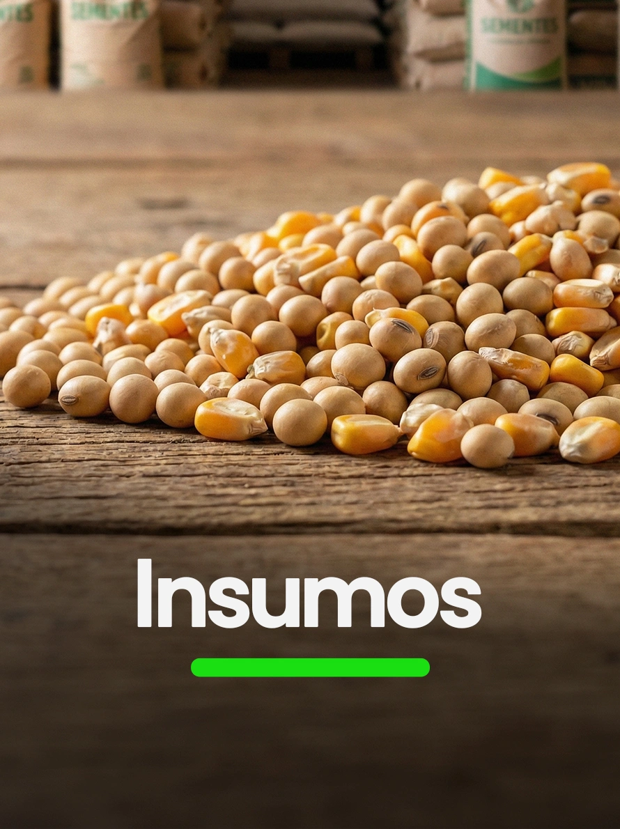 Insumos